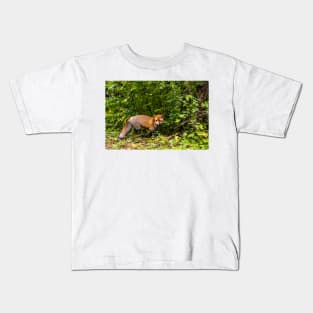 A pleasant encounter on Mount Olympus Kids T-Shirt